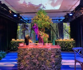 Stage and ambient lighting creating a colorful corporate event environment in Orlando